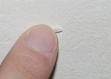 自宅の壁紙の引っかき傷を簡単に修復する方法