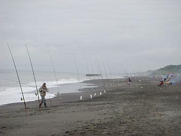 北海道・十勝沿岸での鮭釣り情報！　長節湖付近の海岸線でポツポツと釣れ始めています。