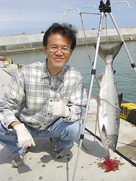 北海道・十勝沿岸での鮭釣り情報！　十勝の旭浜漁港の防波堤で結構釣れています！