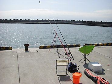北海道・十勝沿岸での鮭釣り情報！　十勝の旭浜漁港の防波堤で結構釣れています！